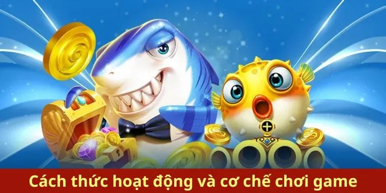 Hướng Dẫn Chơi Bắn Cá Royal Fishing Tại 188BET 2 Hướng Dẫn Chơi Bắn Cá Royal Fishing Tại 188BET